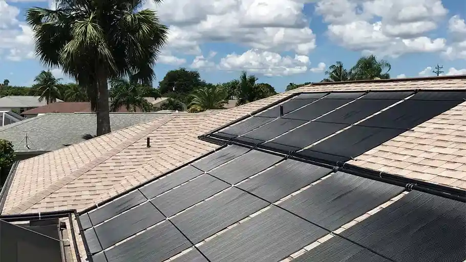 Solar Panels and Palm Tree